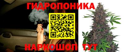 бошки Краснознаменск