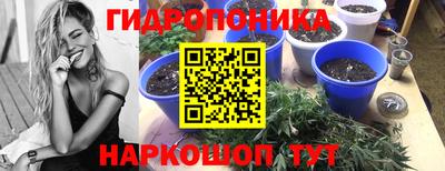 бошки Краснознаменск
