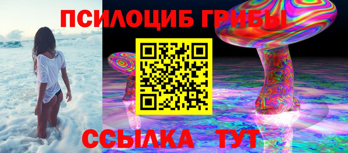Галлюциногенные грибы Psilocybine cubensis  Галлюциногенные грибы прущие грибы  Ковров  Вход с VPN 